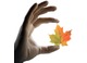 Hand Therapy Canada logo