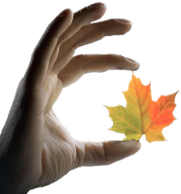 Hand Therapy Canada hand logo